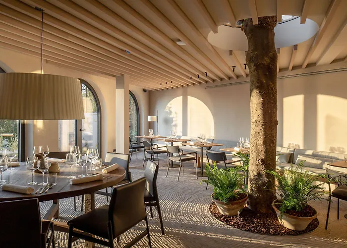 Ur Bare 4* 자라우츠